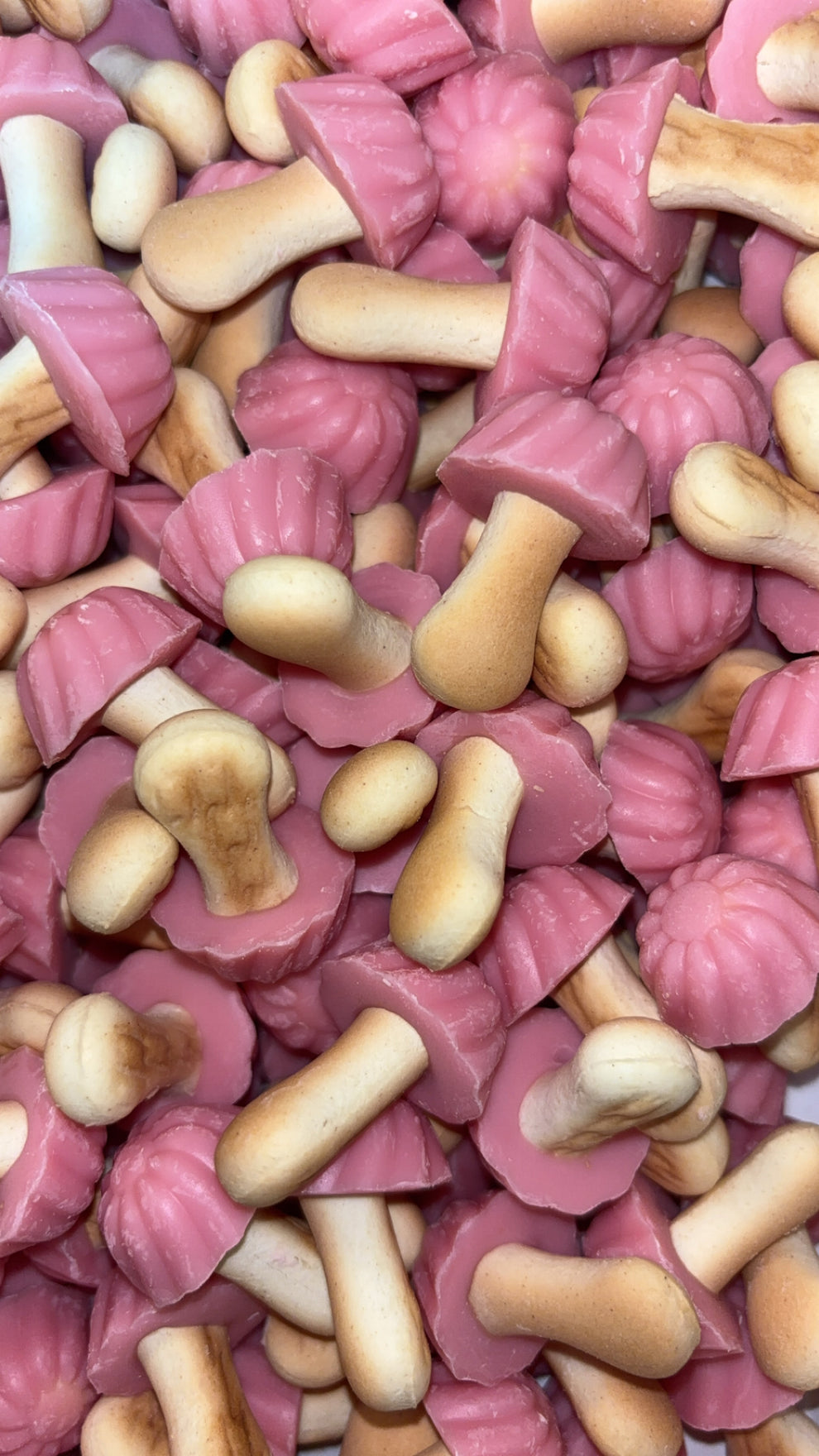 Champignons aromatisés à la fraise ( Lot de 10)
