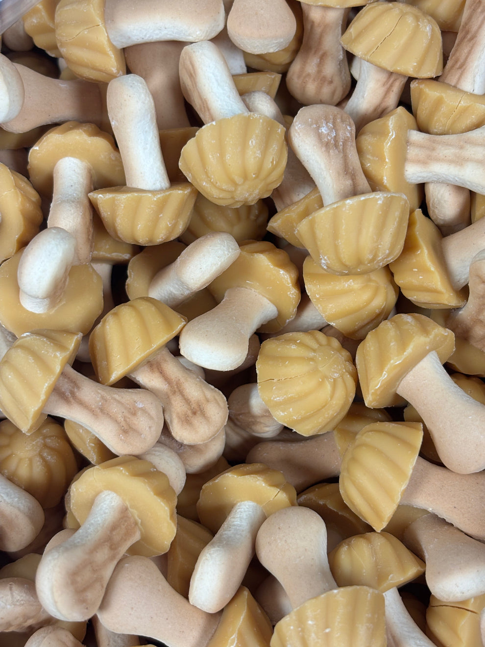 Champignons aromatisés à la banane ( Lot de 10)