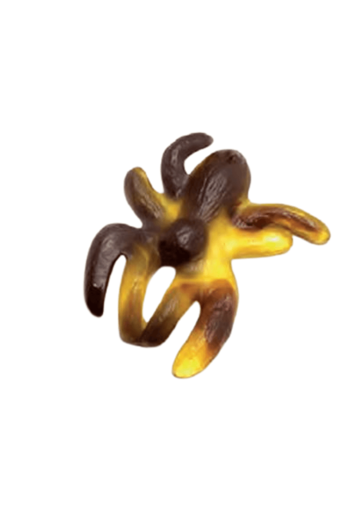 Araignée XL Cola (100g)