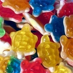 Tortue Lisses (100g)