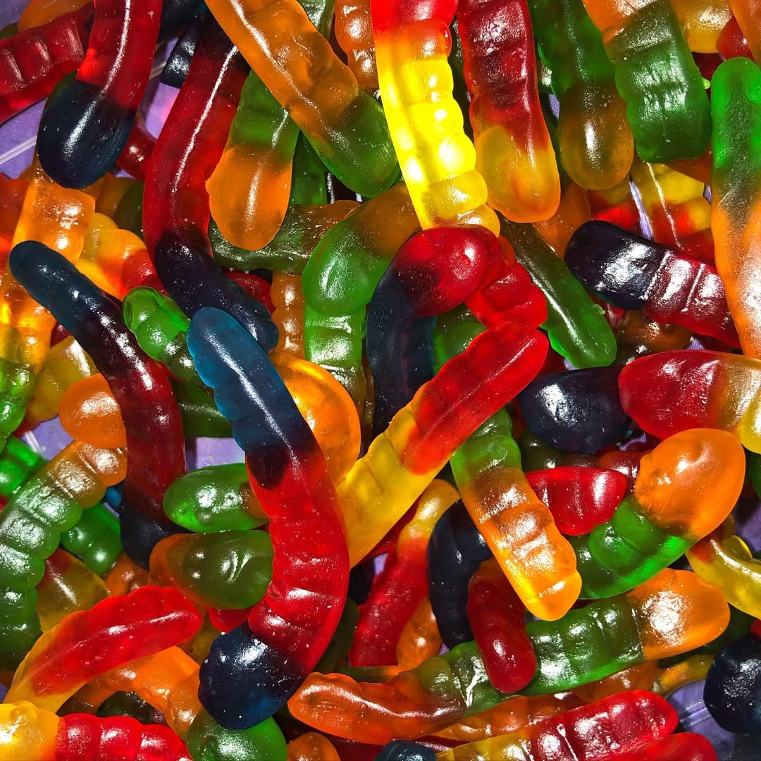 Vers de terre Lisses (100g)