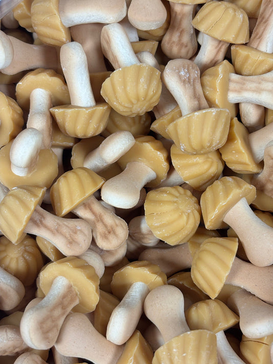 Champignons aromatisés à la banane ( Lot de 10)