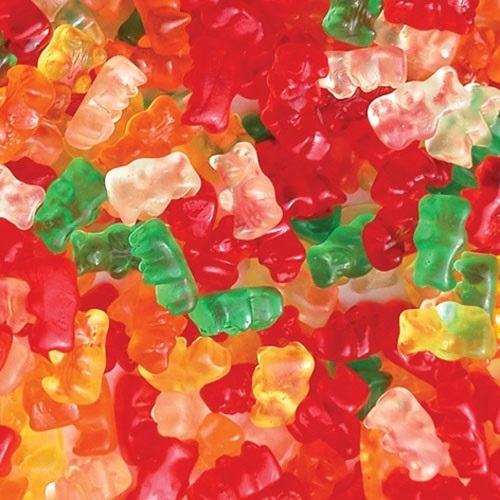 Ourson Sans Sucre (100g)